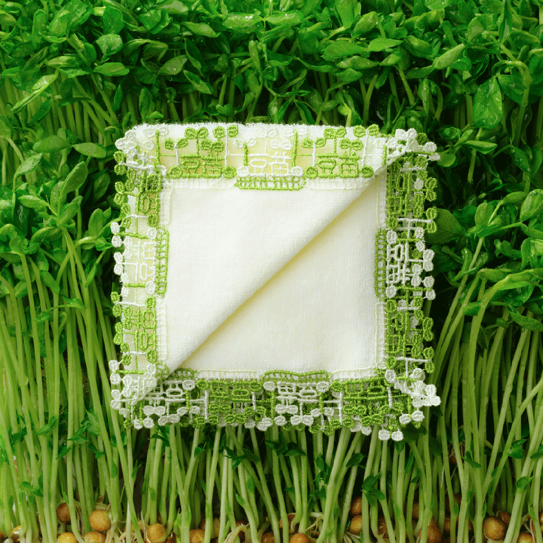 新品　近沢レース　シロツメクサ 近沢レース店 2022秋冬シーズンタオルハンカチ頒布会